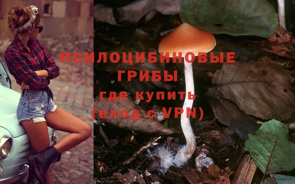 гидра Козельск