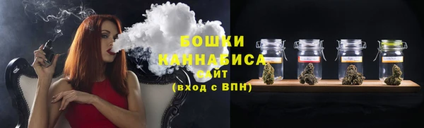 гидра Козельск